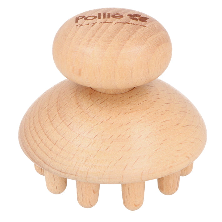 CHAMPIÑON REDUCTOR PEQUEÑO