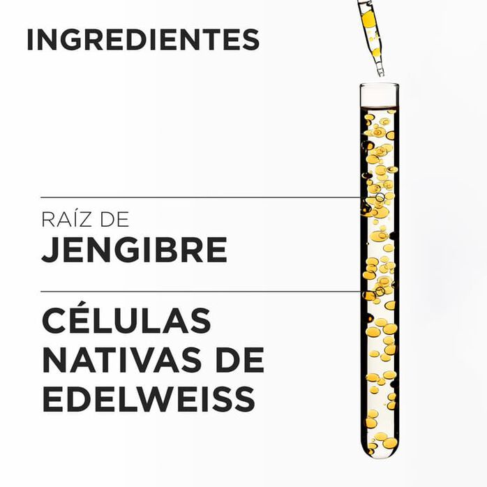 GENESIS Hydra-Fortifiant Shampoo 250 Ml