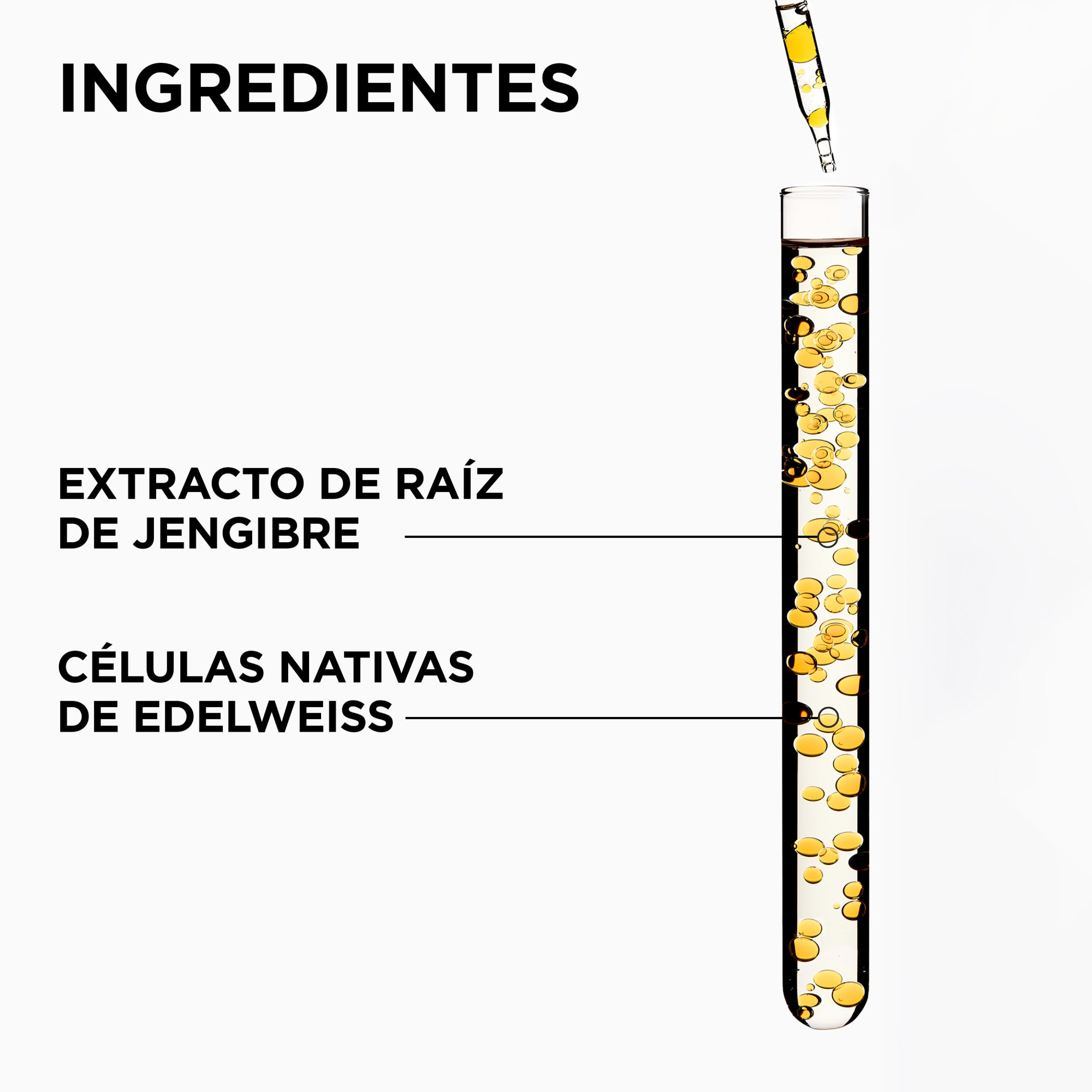 GENESIS Champú Bain Hydra-Fortifiant 250ml