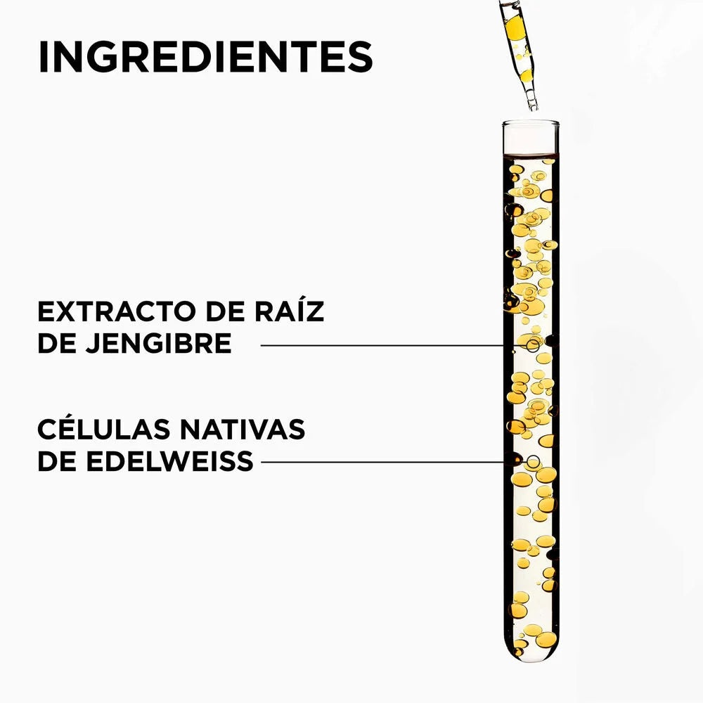 GENESIS Champú Nutri-Fortifiant 250 Ml