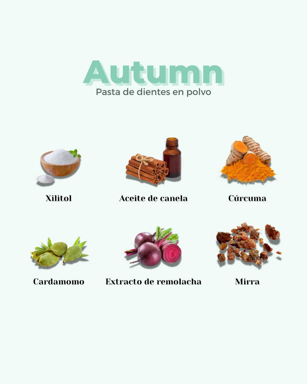 LIQUIDACIÓN: Refill Pasta de Dientes en Polvo ECO AUTUMN